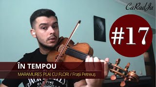 TUTORIAL VIOARĂ 17 🎻MARAMUREȘ PLAI CU FLORI  Frații Petreuș rezumat [upl. by Keating440]