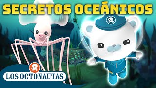 Los Octonautas  🌊 Secretos oceánicos❓  Episodios Completos [upl. by Nevs963]