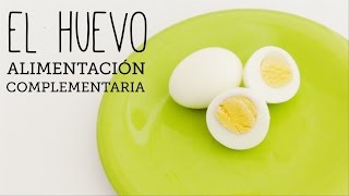 Cuándo puedo dar HUEVO a mi bebé  Alimentación Complementaria [upl. by Ydde171]