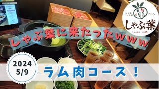 【ラム肉コース】しゃぶ葉に来たったｗｗｗ2024年5月9日しゃぶ葉牛肉豚肉食べ放題しゃぶしゃぶ名取さなしゃぶ葉ニキ牛みすじイベリコ豚VIPおつしゃぶラム肉ランチ [upl. by Jaymee]