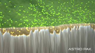 Astro Pak  Microscopic View of Electropolishing  Narrated [upl. by Strang144]