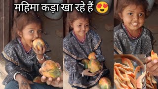 aankada ka blog video काकड़ा का ब्लॉक वीडियो 👌 [upl. by Harlamert]