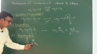 Mechanism of dehydration of alcohol Alcohol phenol and ether  class 12 [upl. by Pigeon]