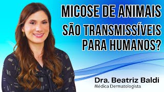 Micose de animais são transmissíveis para humanos  Dra Beatriz Franchito Baldi [upl. by Ennayelhsa]