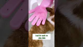 Sữa tắm ve rận thú cưng PE4U 1 petxiteen cat shpe4u funny [upl. by Rheingold]