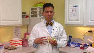 Ear amp Sinus Problems  How to Remove Ear Wax in Infants [upl. by Kemppe]