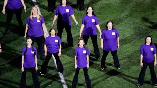 North Royalton High School Royalette amp Royalaire Alumni Performance 9132024 [upl. by Leinaj]