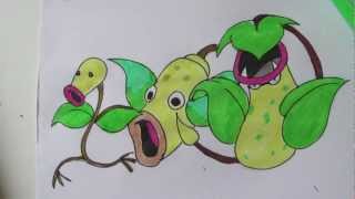 How to draw Pokemon No69 Bellsprout No70 Weepinbell No71 Victreebel [upl. by Humberto]