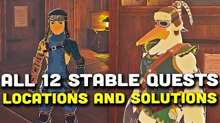 Zelda Tears of the Kingdom  All 12 Stable Quests Locations and Solutions [upl. by Jerold865]