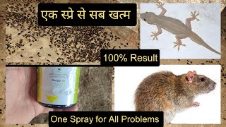 एक स्प्रे से कीड़े चूहों छिपकली सब खत्म  Poultry Farm me kide  Farm insecticide  Broiler [upl. by Auhsaj]