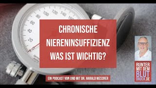 Chronische Niereninsuffizienz was ist wichtig [upl. by Attennaj]