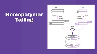 Homopolymer TailingSAM ONLINE CLASS [upl. by Kooima]