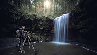 FOTOGRAFIEREN LERNEN in der Natur mit der OM1 und Live ND [upl. by Celtic]