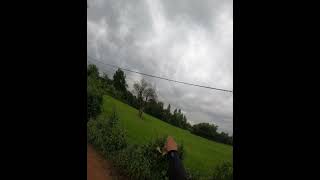 Slingshot Skills  បាញ់លលកតាមខ្សែភ្លេីង 1097 shorts slingshot birdhunting [upl. by Mohammad398]