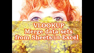 Excel VLOOKUP  How to Merge Data Sets from Sheets [upl. by Erdried]