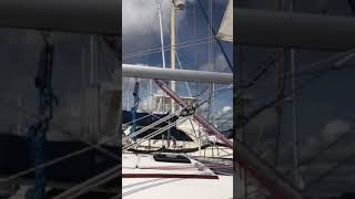 Running Backstays on sailboat Marco Polo [upl. by Riatsala]