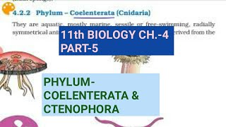 Class 11 BiologyCh4 Part5Phylum Coelenterata amp CtenophoraStudy with Farru [upl. by Hofmann809]