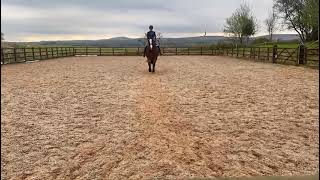 Julie Stirpe riding Cobaholic 241024 BD Prelim 1 E Riders [upl. by Joan]