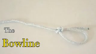 Bowline  How to tie Bowline knot [upl. by Nashner]