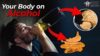 Should You Stop Drinking Alcohol [upl. by Chemar]