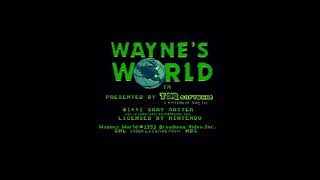 Did You Know About Waynes World at Carowinds amp Kings Dominion [upl. by Eiramanitsirhc]