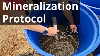 How I Set Up the Mineralization Experiment From the Beginning [upl. by Derfnam840]