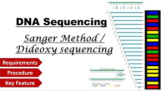 Sanger method DNA Sequencing [upl. by Jankell]