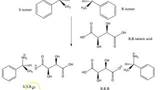 Resolution of a Racemic Mixture [upl. by Keli]