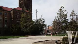 Altgeld chimes Hail to the Orange [upl. by Ennael]