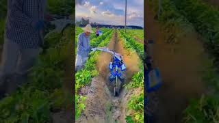 agriculture tool farming tools soil management [upl. by Iv]