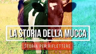 La Storia Della Mucca  Storia Per Riflettere Sulla Vita [upl. by Adyan]