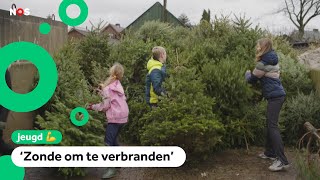 Wat gebeurt er met de 25 miljoen Nederlandse kerstbomen [upl. by Bendix]