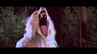 One of the Best WereWolf Videos Baby  Rob Zombie HD [upl. by Joannes]