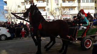 Boboteaza 2018 Fetești [upl. by Lilith]