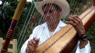 INTERPRETANDO SON CEREMONIAL INDÍGENA DE LA SIERRA DE ZONGOLICA VERACRUZ MEXICO [upl. by Susy]