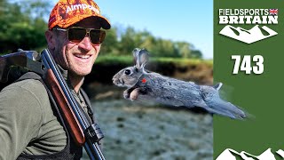 Fieldsports Britain – Red dot rabbits [upl. by Atilemrac444]