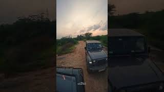 Jeep यात्रा In Jawai Safari 🐆  rajasthan dpsinghdahiyawat [upl. by Remsen918]