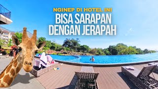 Pengalaman Menginap di Baobab Safari Resort Prigen  Bisa Sarapan Dengan Jerapah [upl. by Nevah]