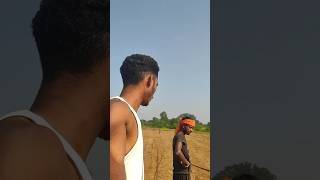 Desi Fower farming Maharashtra Gadchiroli 💥💥💥 dipesh dikkuvlogs Dippu [upl. by Enalda466]