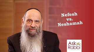 Whats a nefesh and whats a neshamah  Ask the Rabbi Live with Rabbi Chaim Mintz [upl. by Salaidh]