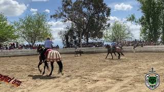 LOS AFERRADOS DEL JICAMO Vs quotEL Xquot DE RANCHO LOS MARTINEZ EN LIENZO CHARRO LOS PALOMINOS 4724 [upl. by Guillaume]