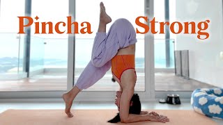 Pincha Mayurasana Strong ✦ Forearms Strengthening Yoga Workout For Beginners Advanced All Levels [upl. by Ahsilla331]