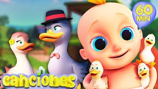 🦆Ganso Ganso  ♫ ¡Las mejores canciones de baile para niños  LooLoo [upl. by Zahc]