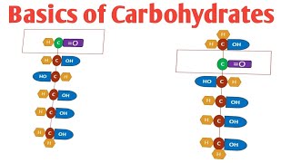 Basics of Carbohydrates Introduction to Carbohydrates Structure of Monosaccharides [upl. by Illah749]