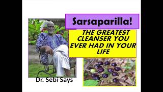 Why Sarsaparilla is the Sparkplug of the Body Dr Sebi [upl. by Suzan]