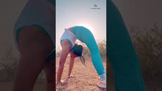 Standing Chakrasana yogaurmi shortvideo yogapose shorts ytshort urmiyogaacademy [upl. by Celine128]