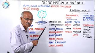 ROLE AND IMPORTANCE OF TREE amp FOREST  Part 25  By SS Ojha Sir [upl. by Icat]