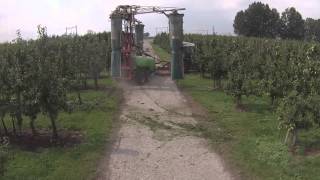 vogelaar fruvo BV spuiten met Fendt 211 vario met munckhof 3 rijer spuit [upl. by Lebar527]