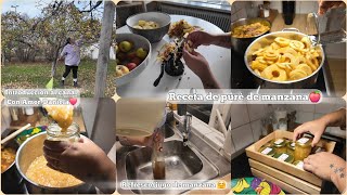 BIENVENIDOS A MI CANAL DE RECETAS Y MÁS ❤️ PURÉ DE MANZANA Y JUGÓ DE 🍎 rectas hogar ideas [upl. by Jurkoic]