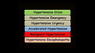 Hypertensive Crisis  Hypertensive Emergency  Accelerated Hypertension  Malignant Hypertension [upl. by Magna]